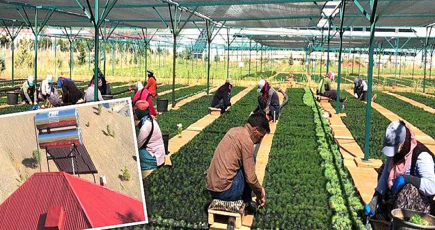 KÖYLERDE SU ISITMA ÜNİTELERİ KURULDU