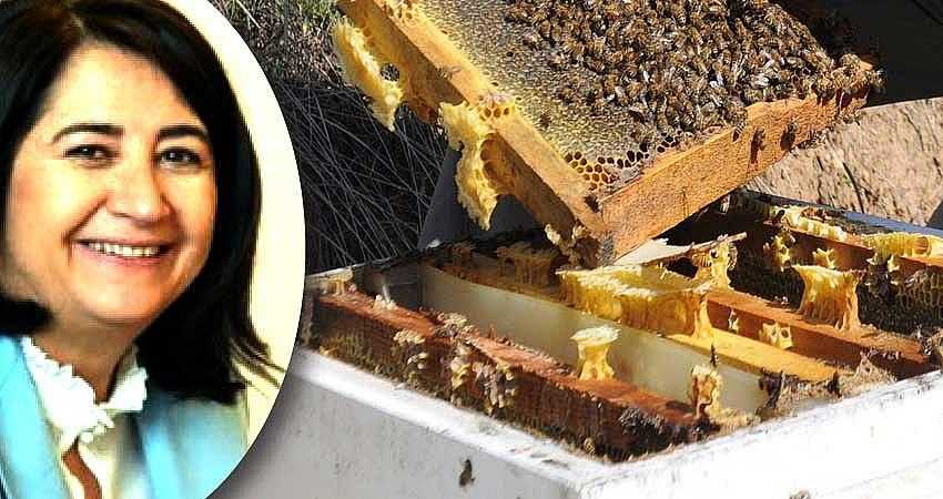 ARILAR KONACAK ÇİÇEK BULAMIYOR