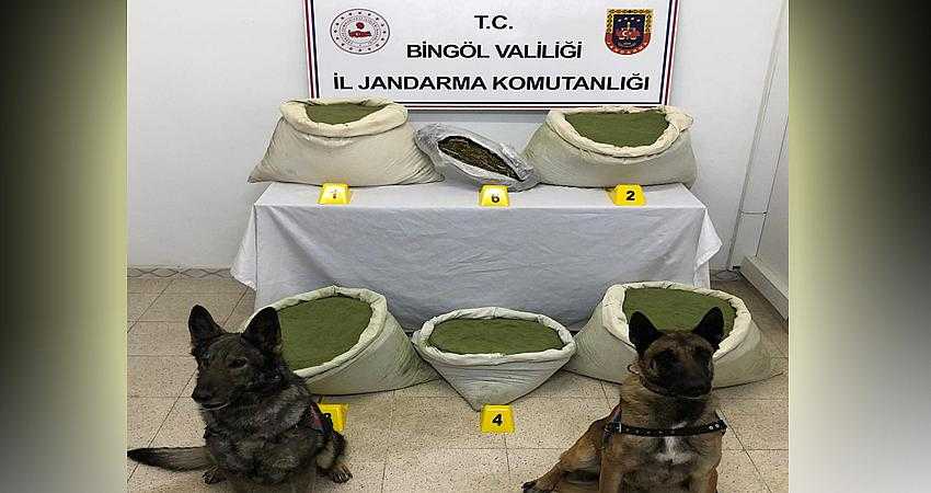 117 kilo esrar ele geçirildi