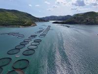 Balık Çiftlikleri Kurulacak