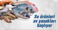 Su Ürünleri Av Yasağı Başlıyor