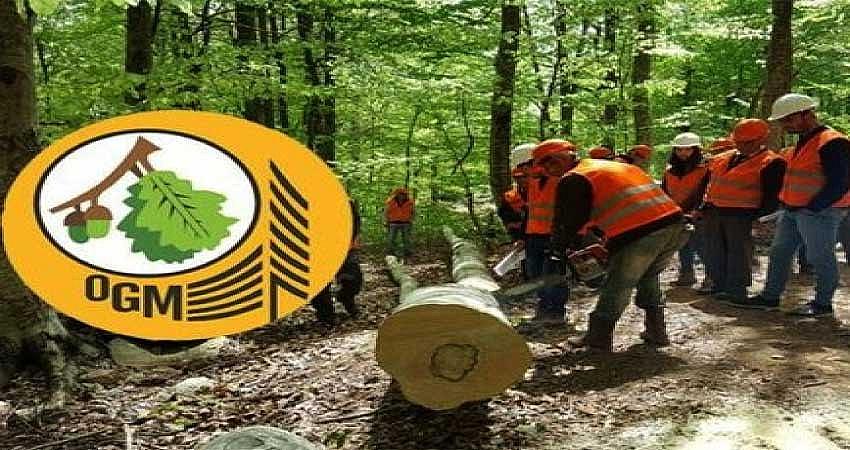 BİNGÖL’E 7 İŞÇİ ALINACAK