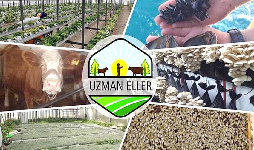 BİNGÖL’DE 14 KİŞİ DESTEK ALMAYA HAK KAZANDI