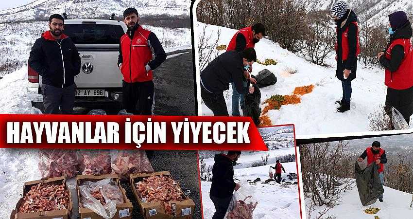YABAN HAYVANLARI İÇİN DOĞAYA YİYECEK BIRAKILDI