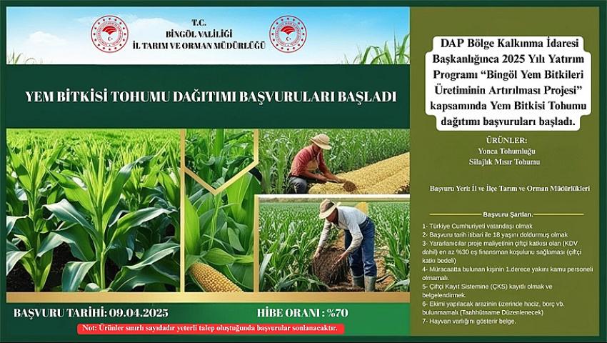 Hibeli Mısır ve Yonca Tohumu